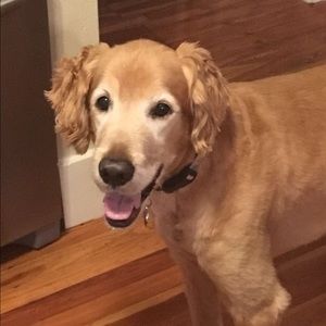 Meet your Posher, Anne